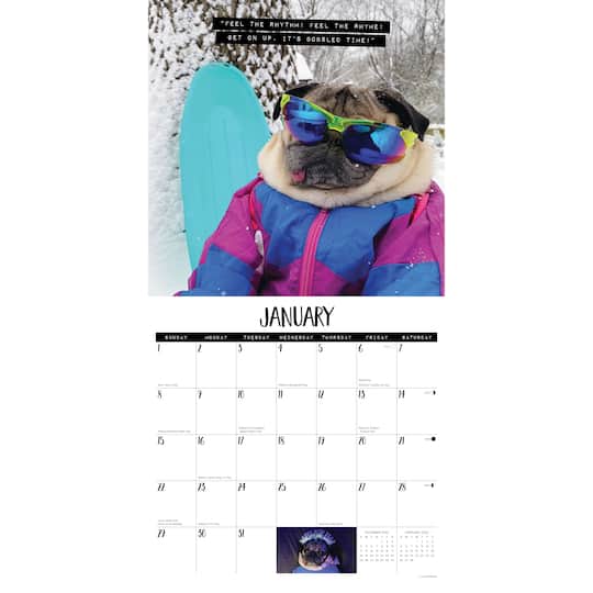 2023 Doug the Pug Wall Calendar Michaels